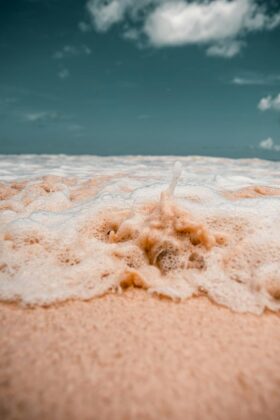 pink sand on beach